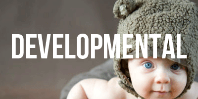 Developmental change management